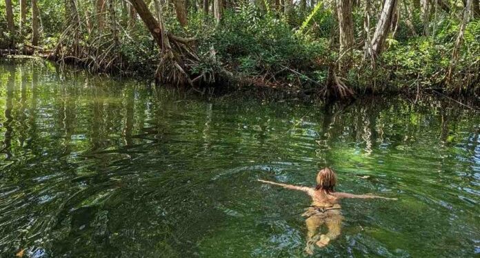 Los mejores sitios de Celestún en Yucatán que debes visitar Dimension