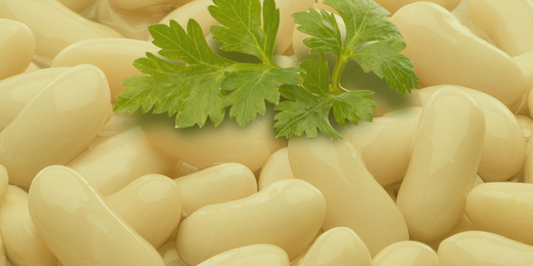 Autor Foods apuesta por las conservas de legumbres ecológicas. Revista infoRETAIL.