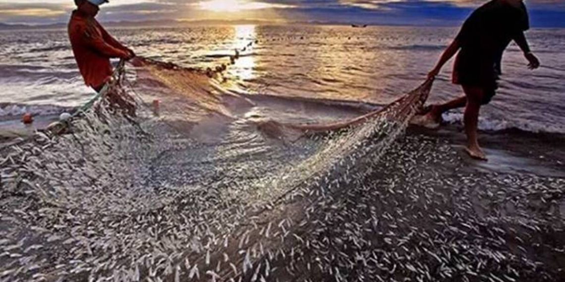 La iniciativa de investigación adquiere importancia a raíz de los desafíos emergentes relacionados con el comercio de productos del mar que enfrentan los pescadores que buscan recursos de alto valor y los actores del mercado de exportación de la India.