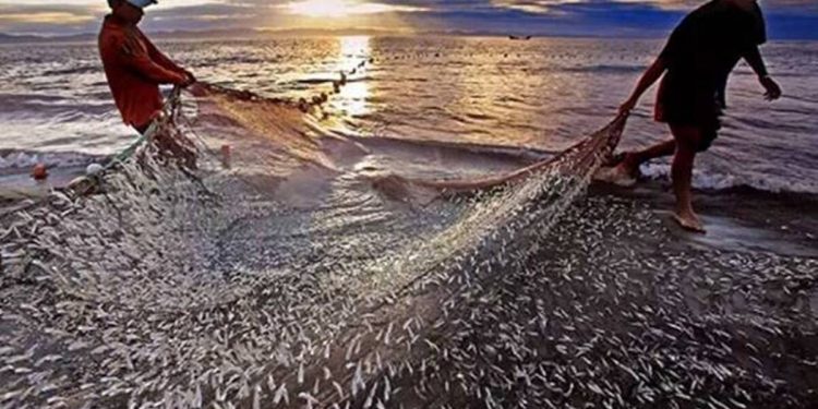 La iniciativa de investigación adquiere importancia a raíz de los desafíos emergentes relacionados con el comercio de productos del mar que enfrentan los pescadores que buscan recursos de alto valor y los actores del mercado de exportación de la India.