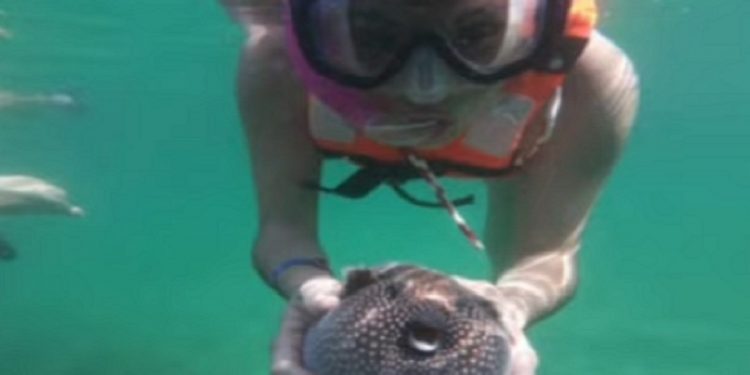 Denuncian a agencia de viajes por afectar a especies protegidas