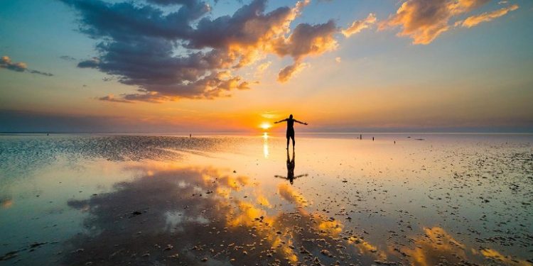 Destinos solitarios para rodearse de flora y fauna autóctona en Córdoba