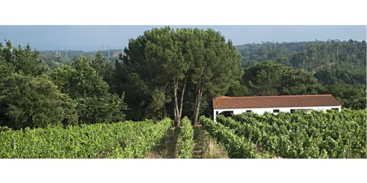 El Centro de Portugal se da a conocer sin salir de casa