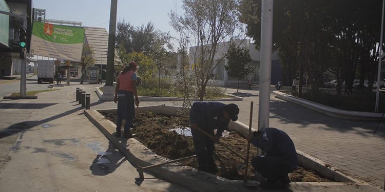 Entregan renovación de calles del Centro de Zapopan