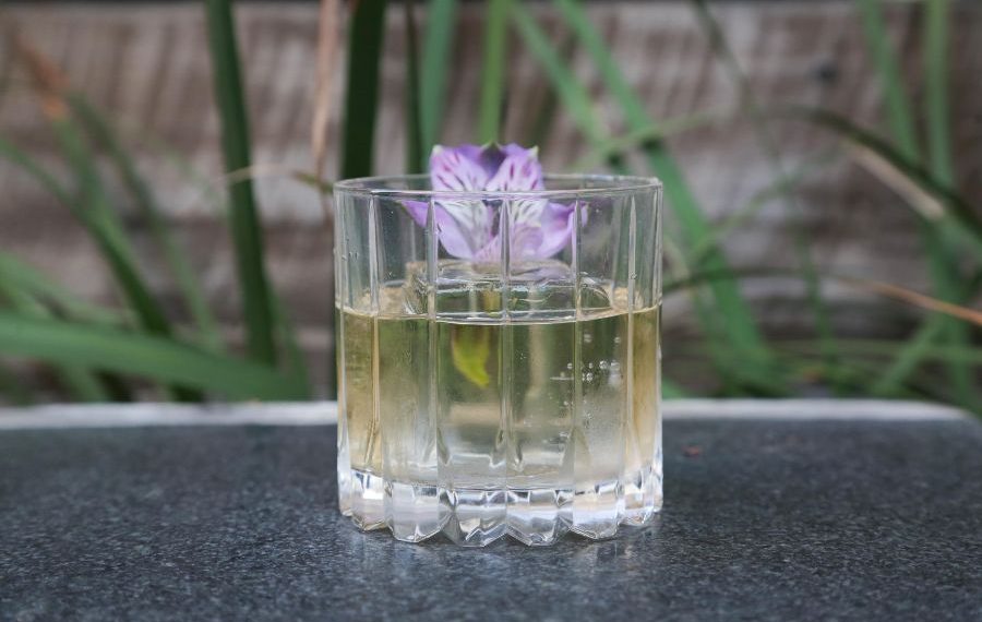 Los 27 mejores bares en Santiago que debes que visitar