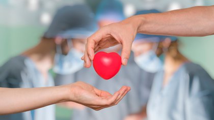 El 27 de febrero es el Día Internacional del Trasplante de Órganos y Tejidos (Shutterstock)