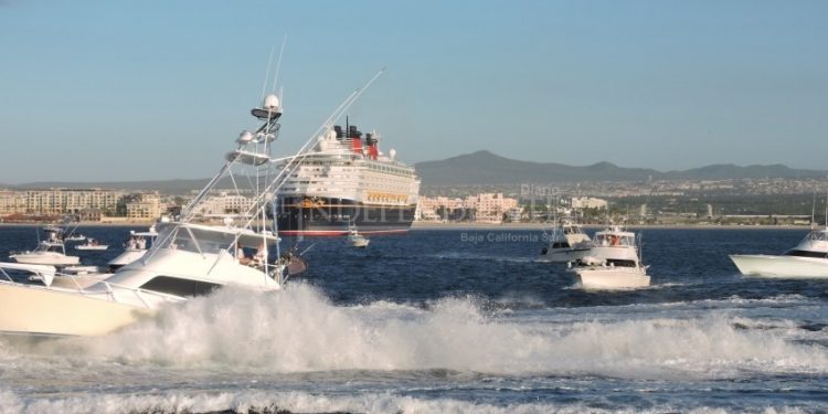 Navieras del mundo anuncian calendario de regreso a altamar, será a partir de abril