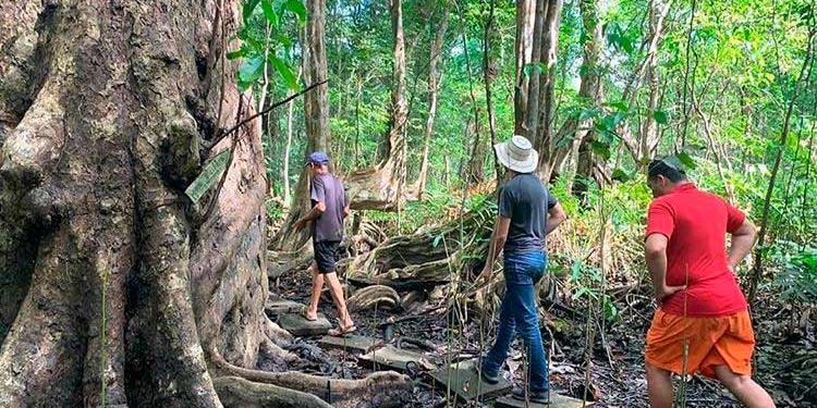 Nueva Ley en Panamá apoya a agencias de viajes de cara a la pandemia - Spanish Version