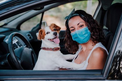 Qué se debe tener en cuenta a la hora de viajar con los perros y gatos (Shutterstock)