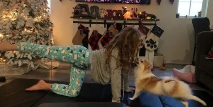 Tareas con perros | Bolavip