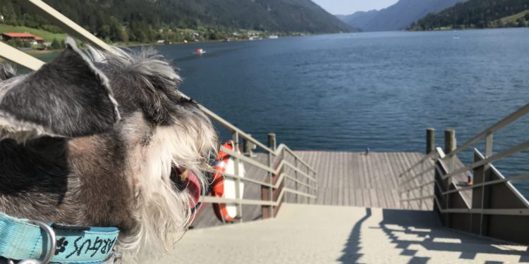 Imagen nota de prensa Hosteltur