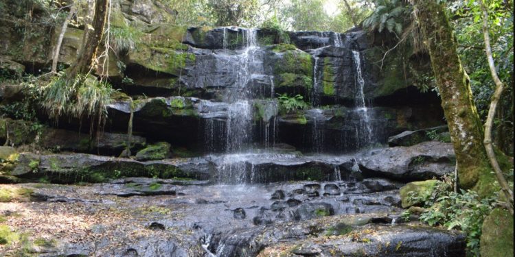 parques nacionales sobresalen por su fastuosa naturaleza