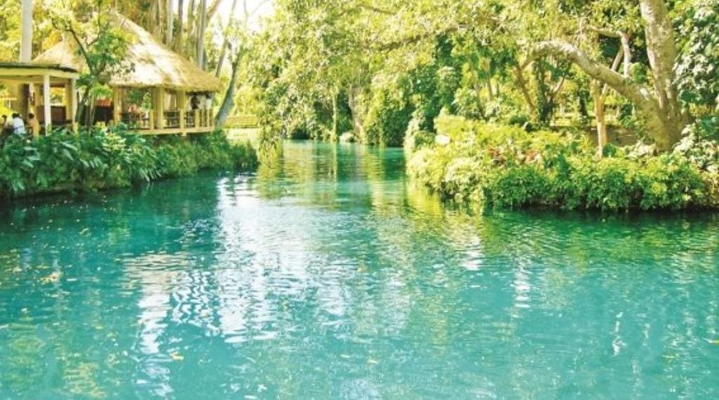 ¿Cuáles son los mejores lugares para visitar en CDMX en marzo?