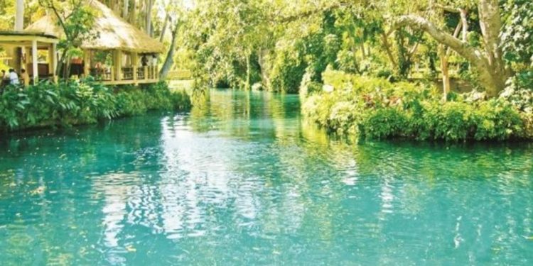 ¿Cuáles son los mejores lugares para visitar en CDMX en marzo?