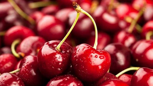 Argentina analiza la industria de cerezas de Latinoamérica