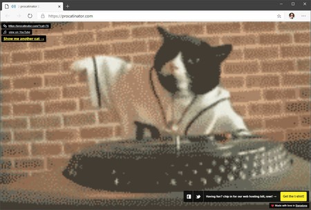 Procatinator