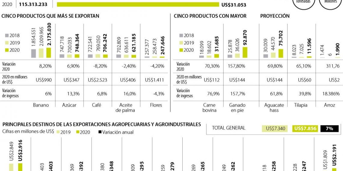 Arroz, tilapia y ganado, entre los productos del con mejor proyección para exportar