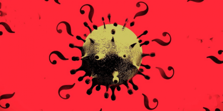 datos covid pandemia