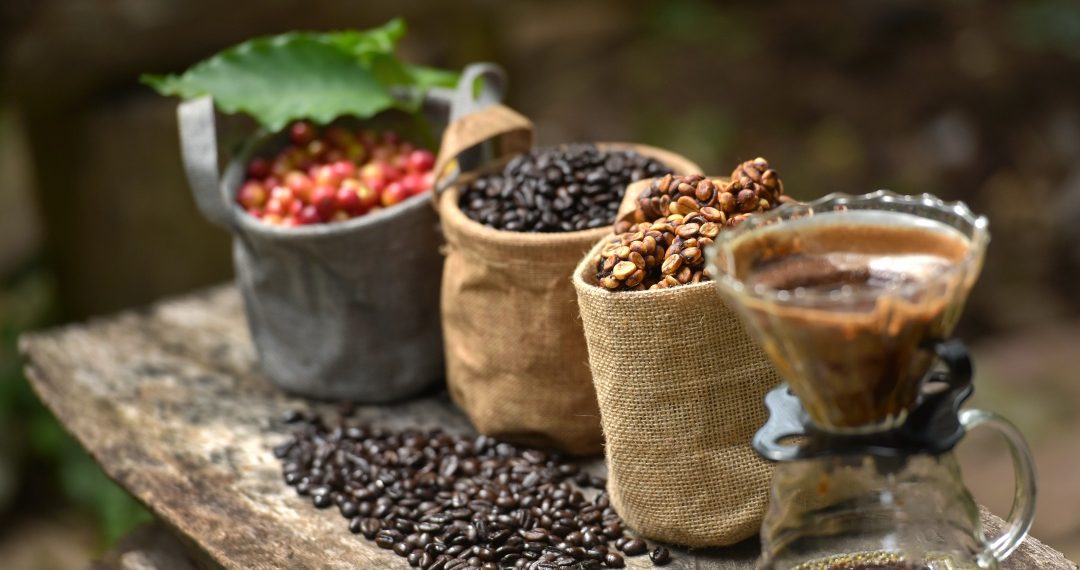 Café Devoción: 'Café Devoción': uno de los cafés colombianos de mejor calidad | A Vivir Que Son Dos Días
