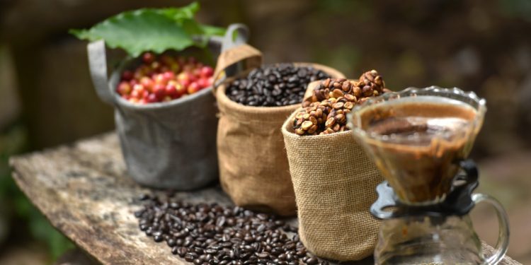 Café Devoción: 'Café Devoción': uno de los cafés colombianos de mejor calidad | A Vivir Que Son Dos Días