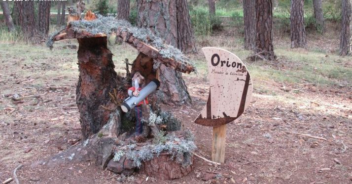 bosque mágico