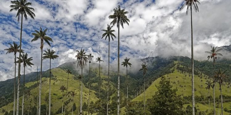Colombia ingresa en la red de turismo de lujo Traveller Made