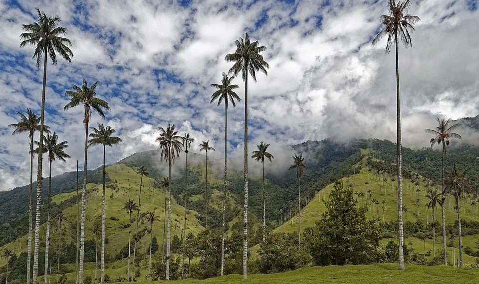 Colombia ingresa en la red de turismo de lujo Traveller Made
