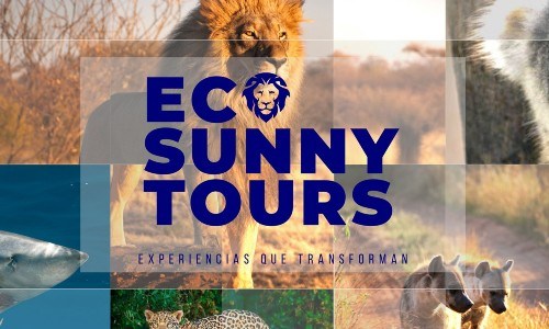 eco-sunny-tours-voluntariado-guatemaltecos-latinos-ayuda-fauna-guatemala-requisitos-que es