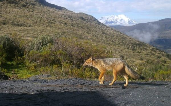 El Chaco será declarado Pueblo Mágico de Ecuador