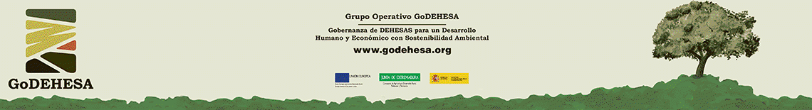 godehesa