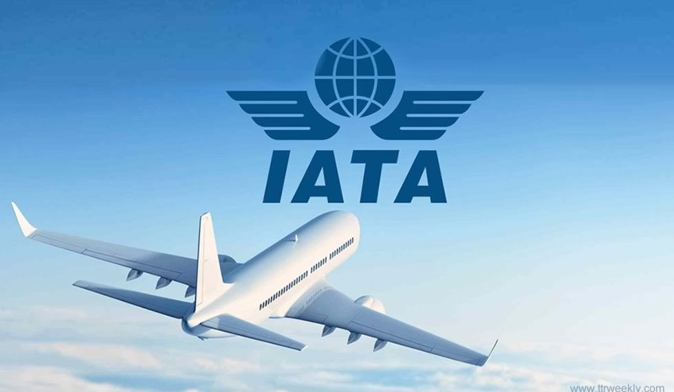 IATA: nuevas restricciones golpean demandas de viajes en inicio del 2021 - Noticias de turismo