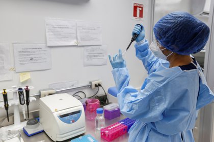 El caso identificado en Puerto Rico con la variante de Brasil P.2 corresponde de a una mujer de entre 40 y 49 años, mientras que están bajo investigación dos pacientes con la de California B.1.429. EFE/Francisco Guasco/Archivo
