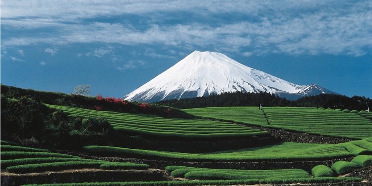 Japón se presenta como destino seguro y sostenible