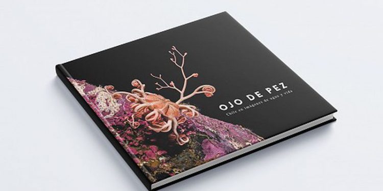 Libro “Ojo de Pez: Chile en imágenes de agua y vida” reúne las mejores 80 fotografías de sistemas acuáticos del país