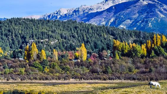 Bariloche, una opción siempre elegida en otoño. Foto: Bariloche Turismo