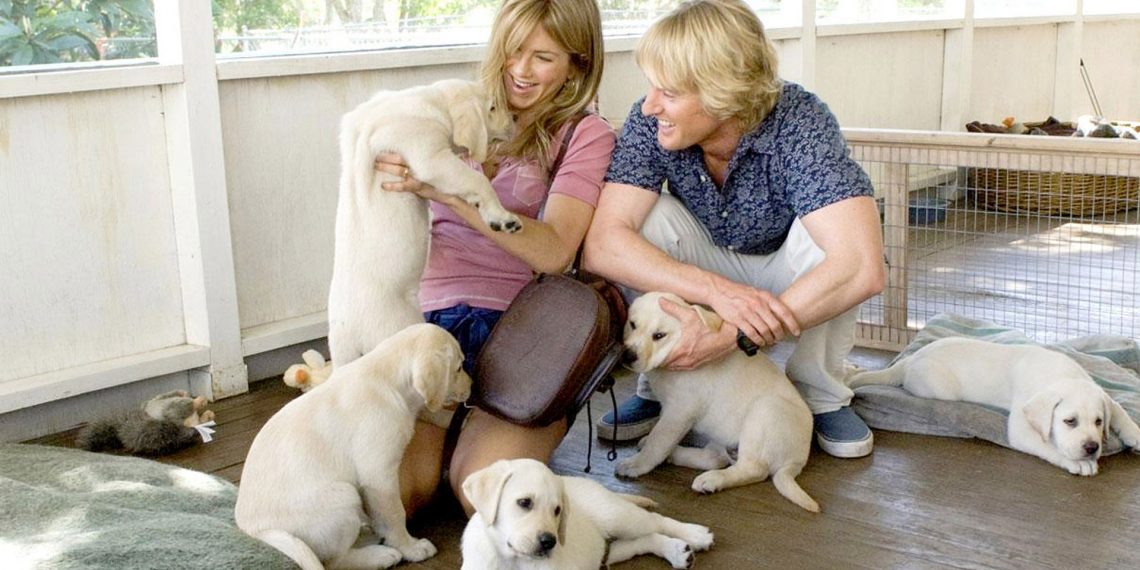 Los mejores Airbnb pet-friendly para viajar con tu mascota por todo el mundo