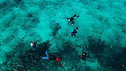 Buceo en Providencia. Foto: Colprensa.