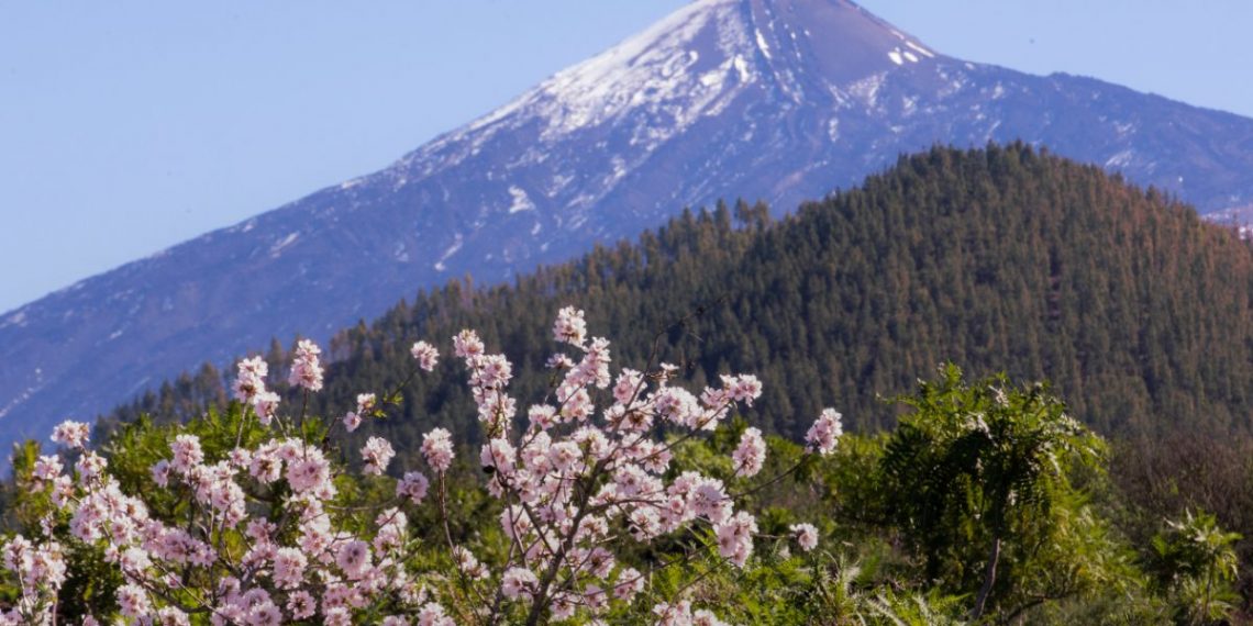 Los mejores lugares de España para ver los almendros en flor