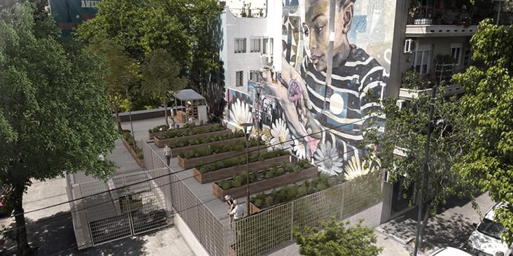 Los vecinos de Palermo tendrán su primera huerta urbana | Noticias | Buenos Aires Ciudad