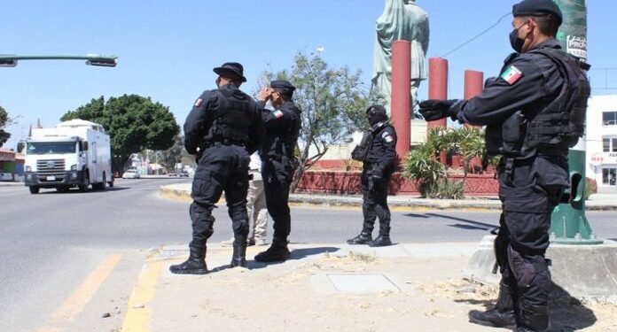 Mantienen operativo para garantizar la seguridad en cruceros