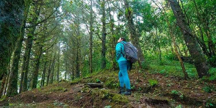 Naturaleza, producto estrella de Nicaragua para europeos - Spanish Version
