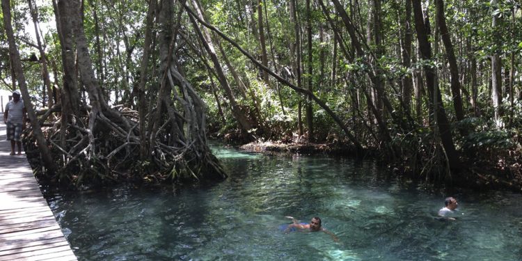 Ofrecen amplia variedad de opciones para turismo de naturaleza en Quintana Roo – Palco Noticias