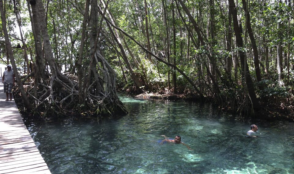 Ofrecen amplia variedad de opciones para turismo de naturaleza en Quintana Roo – Palco Noticias