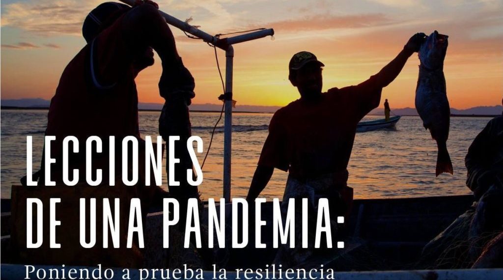 Pandemia fortaleció la resilencia del sector pesquero: especialistas