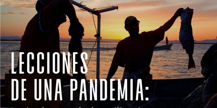Pandemia fortaleció la resilencia del sector pesquero: especialistas