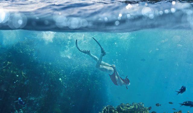Para los amantes del buceo estos son los mejores destinos para practicarlo del mundo