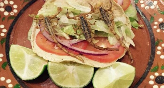 Realizarán en Durango la Feria de Turismo AAVE