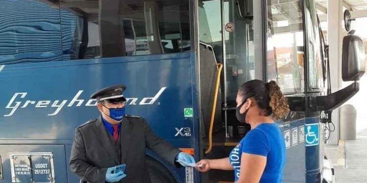 Reduce Greyhound 50% de sus salidas a EU debido a restricciones