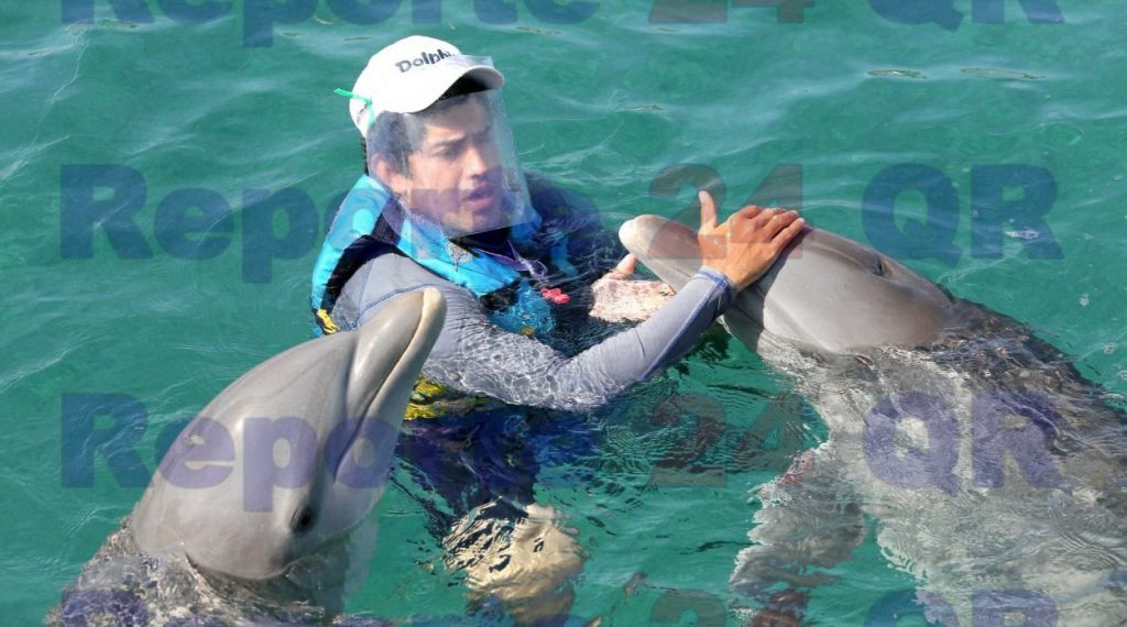 The Dolphin Company es miembro regional al WTTC