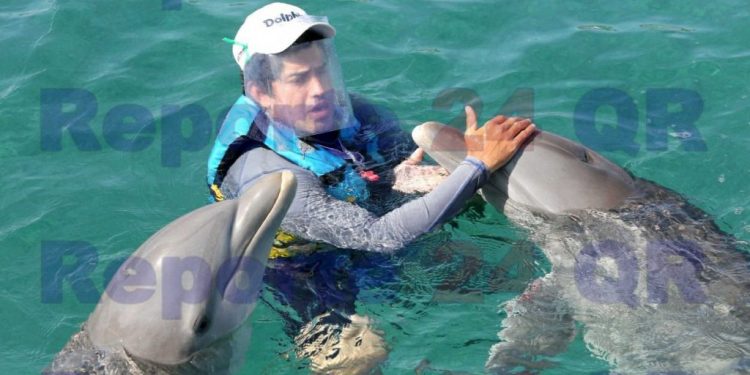 The Dolphin Company es miembro regional al WTTC